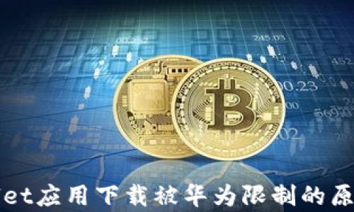 
tpWallet应用下载被华为限制的原因解析