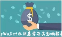 tpWallet私钥暴露及其影响解析