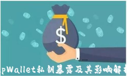 
tpWallet私钥暴露及其影响解析