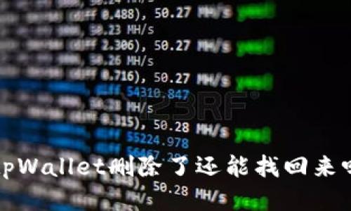  tpWallet删除了还能找回来吗？