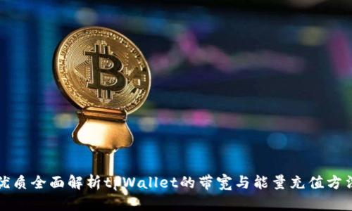 优质全面解析tpWallet的带宽与能量充值方法